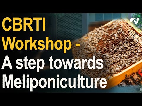 Meliponiculture : Future of Apiculture in India | Stingless Bees | CBRTI | Maharashtra | Honey